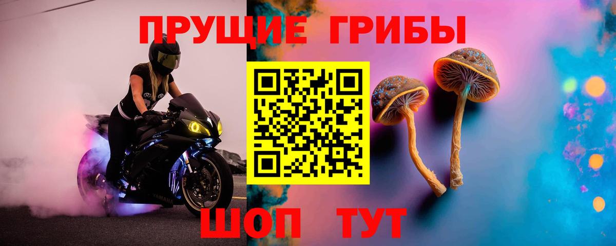 Псилоцибиновые грибы Cubensis Отрадное
